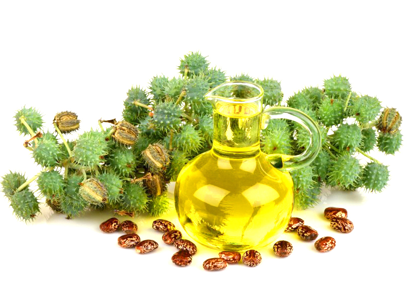 wholesale cold pressed organic castor oil suppliers in united states